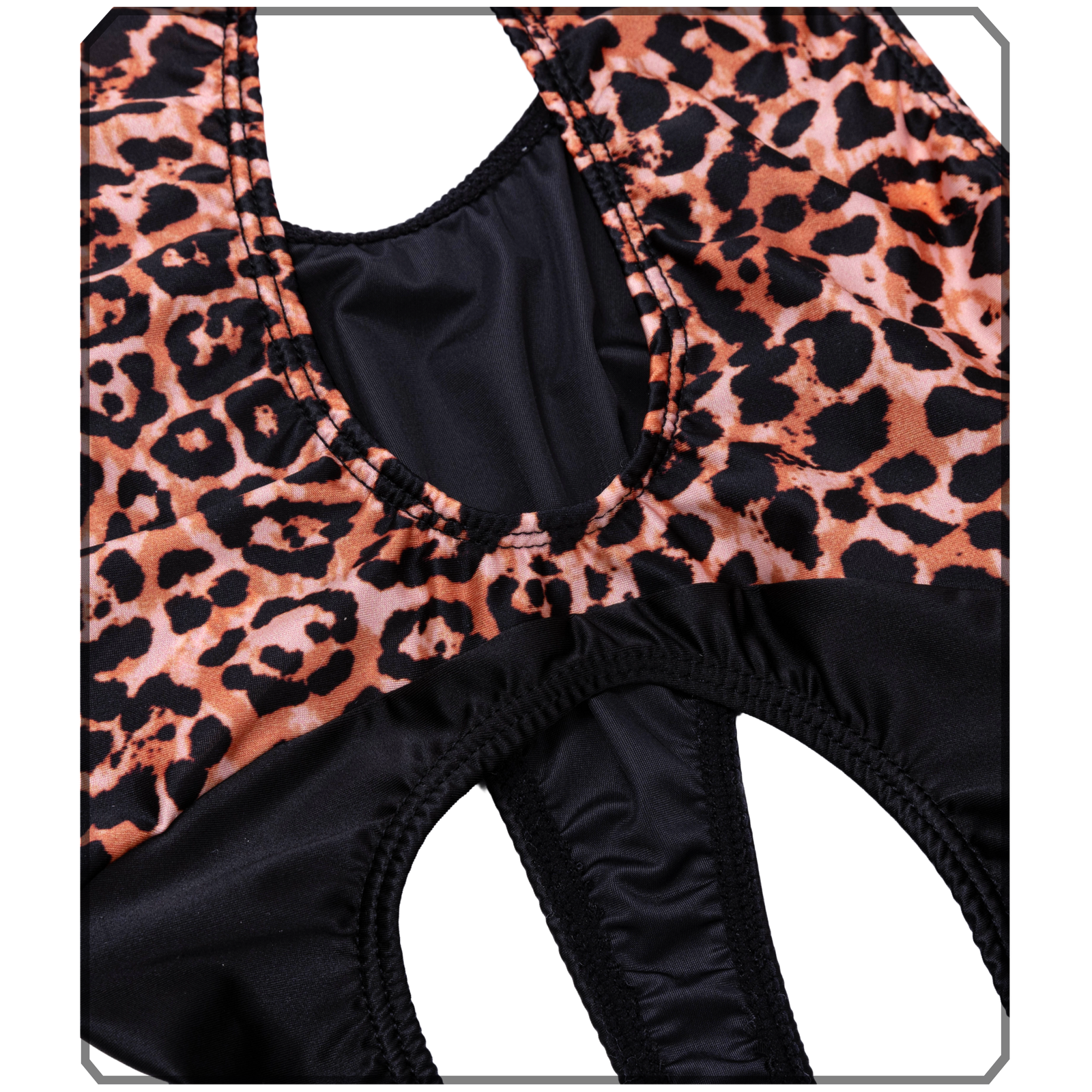 2513-LEOPARD-07