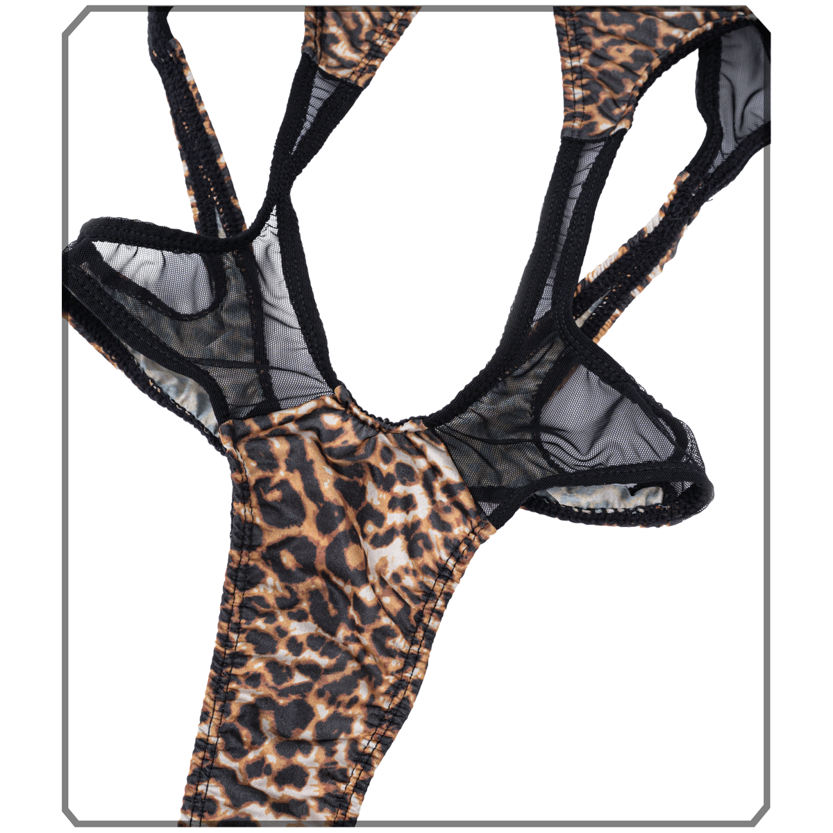 DZ023-LEOPARD-05