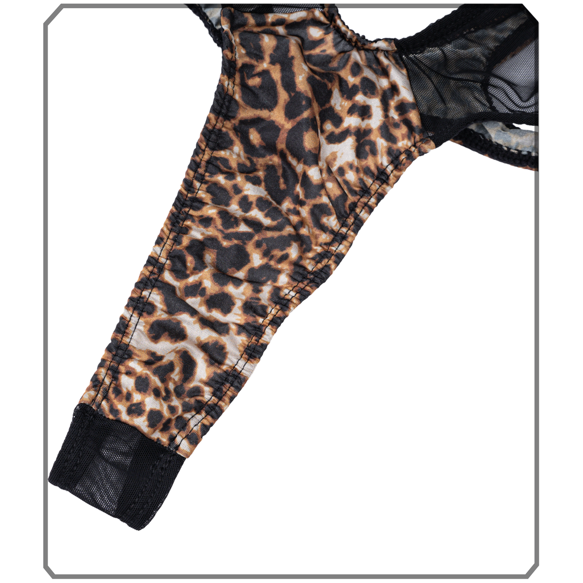 DZ023-LEOPARD-06